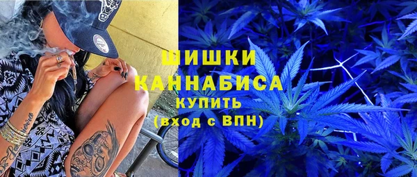 винт Гусиноозёрск