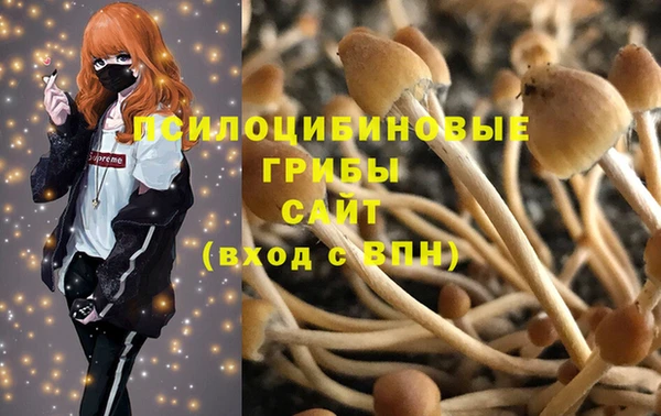 бутират Гусев