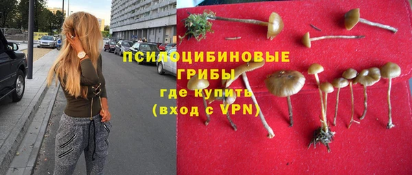 бутират Гусев