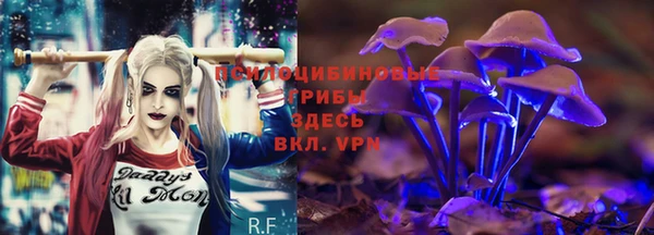 герыч Гусь-Хрустальный