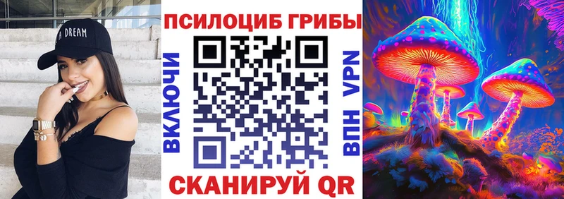Псилоцибиновые грибы GOLDEN TEACHER  Купить закладки  Кедровый 